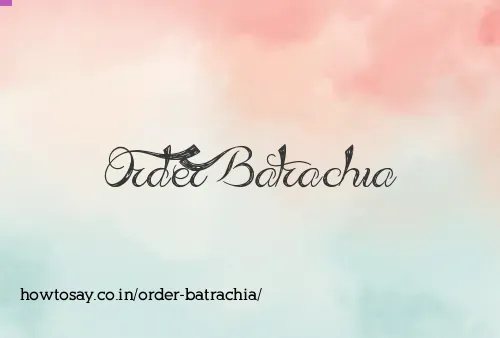 Order Batrachia