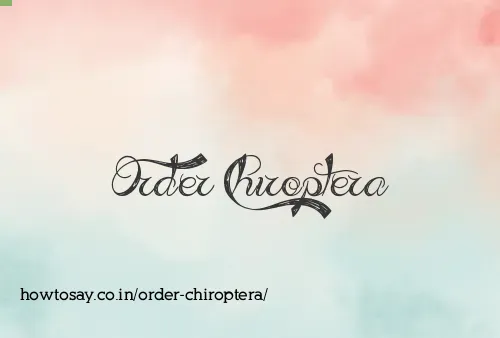 Order Chiroptera