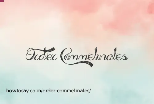 Order Commelinales