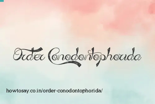 Order Conodontophorida