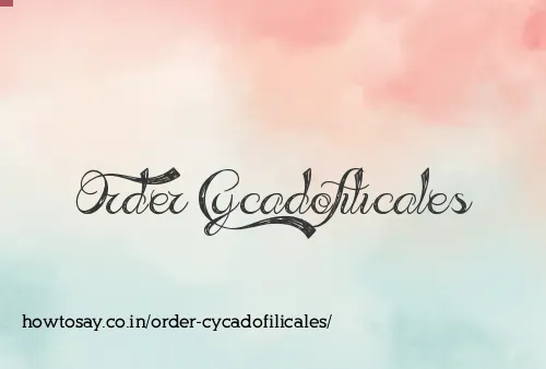 Order Cycadofilicales