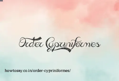 Order Cypriniformes
