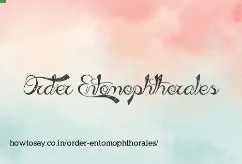 Order Entomophthorales