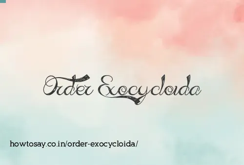 Order Exocycloida
