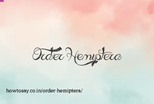 Order Hemiptera