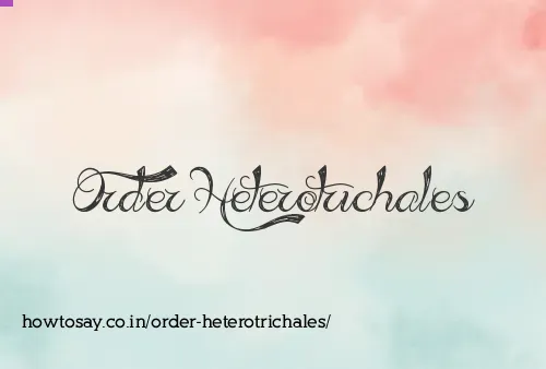 Order Heterotrichales