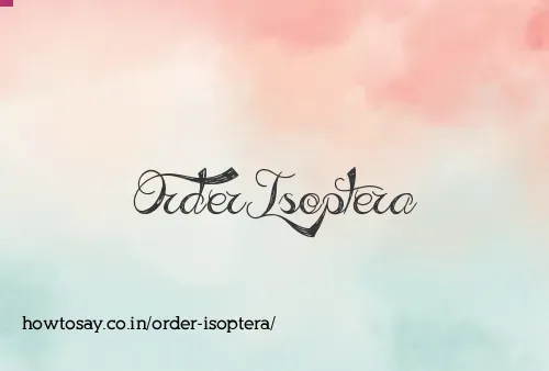 Order Isoptera