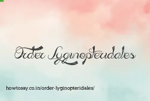 Order Lyginopteridales