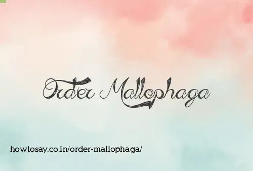 Order Mallophaga