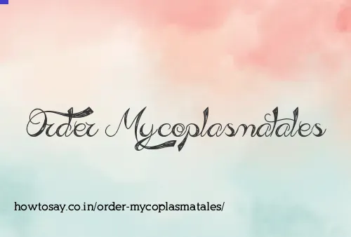 Order Mycoplasmatales