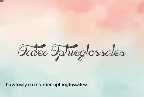 Order Ophioglossales
