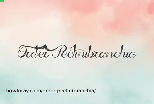 Order Pectinibranchia