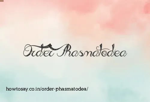Order Phasmatodea