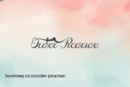 Order Picariae