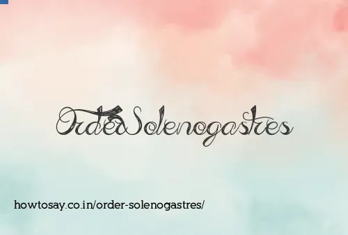 Order Solenogastres