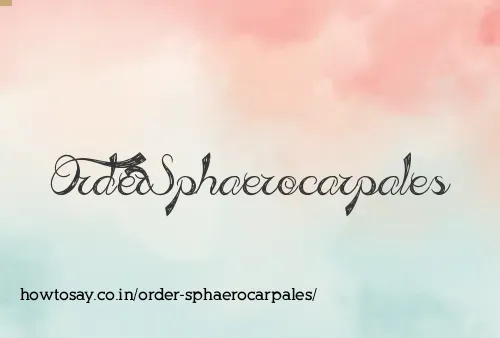Order Sphaerocarpales