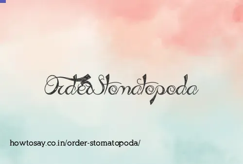 Order Stomatopoda