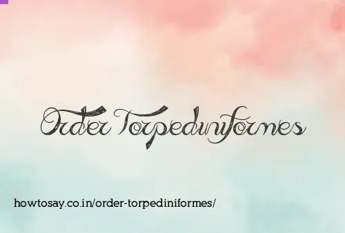 Order Torpediniformes