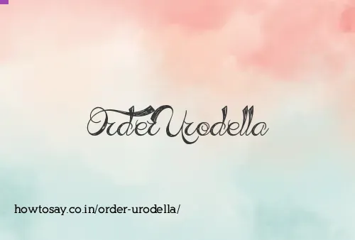 Order Urodella