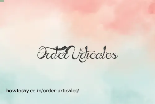 Order Urticales