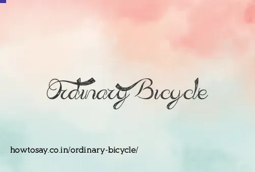 Ordinary Bicycle
