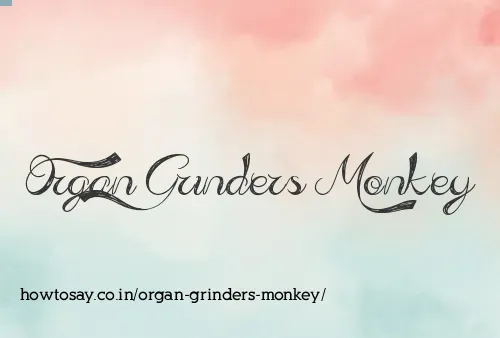 Organ Grinders Monkey