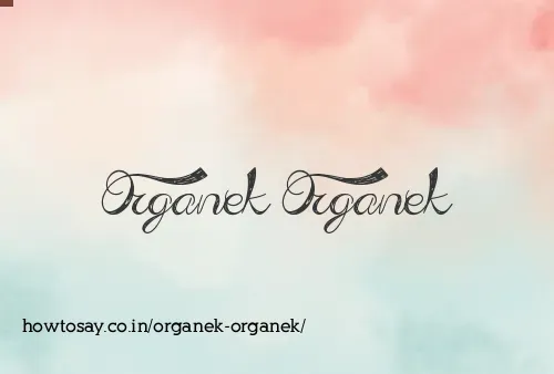 Organek Organek