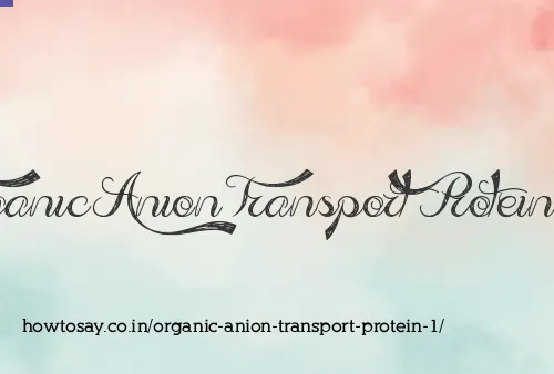 Organic Anion Transport Protein 1