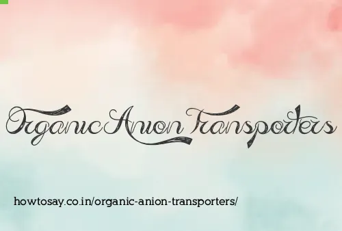 Organic Anion Transporters