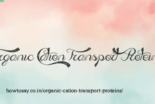 Organic Cation Transport Proteins