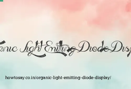 Organic Light Emitting Diode Display