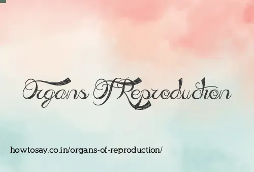 Organs Of Reproduction