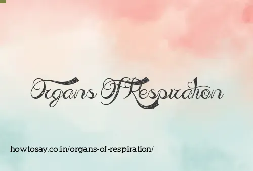 Organs Of Respiration