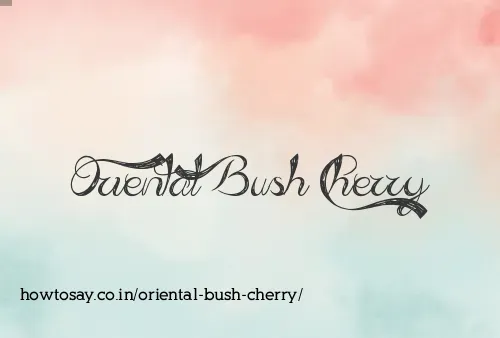 Oriental Bush Cherry