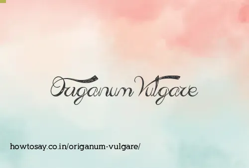 Origanum Vulgare