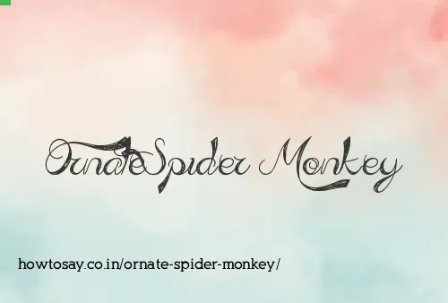 Ornate Spider Monkey