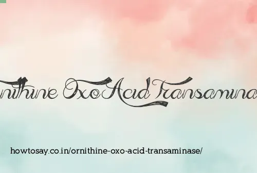 Ornithine Oxo Acid Transaminase