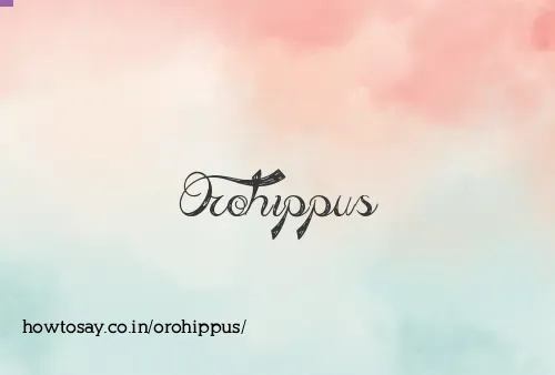 Orohippus