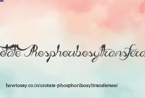Orotate Phosphoribosyltransferase