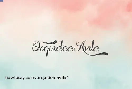Orquidea Avila