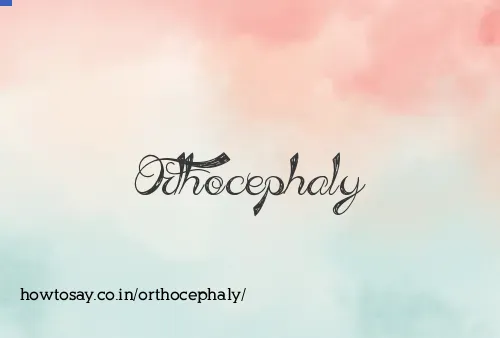 Orthocephaly