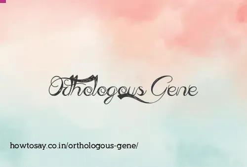 Orthologous Gene