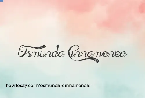 Osmunda Cinnamonea