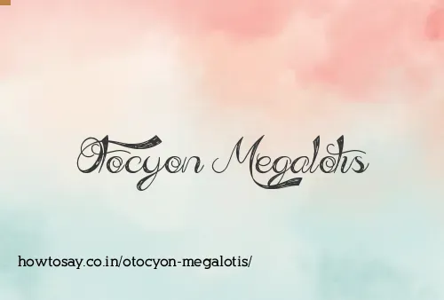 Otocyon Megalotis