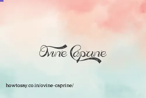 Ovine Caprine
