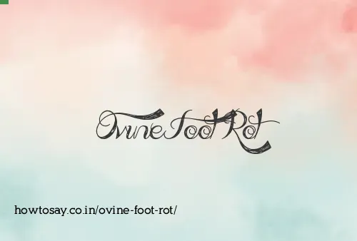 Ovine Foot Rot