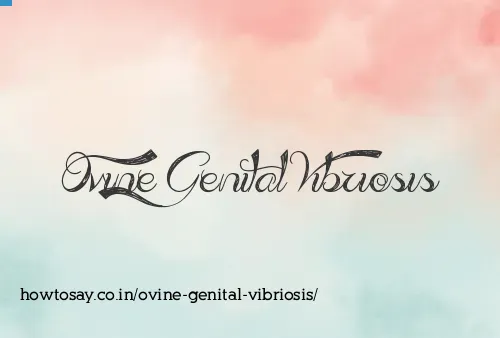 Ovine Genital Vibriosis
