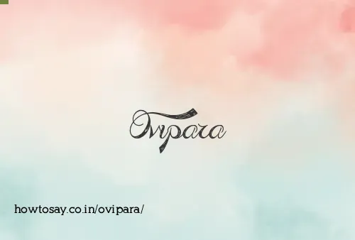 Ovipara