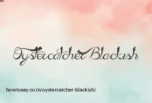 Oystercatcher Blackish