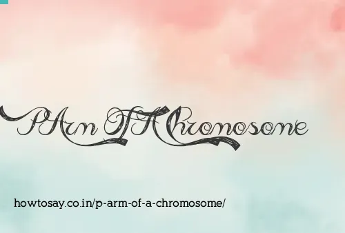 P Arm Of A Chromosome
